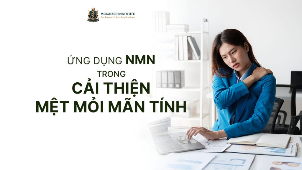 NMN và mệt mỏi mãn tính: Nghiên cứu cho thấy điều gì?