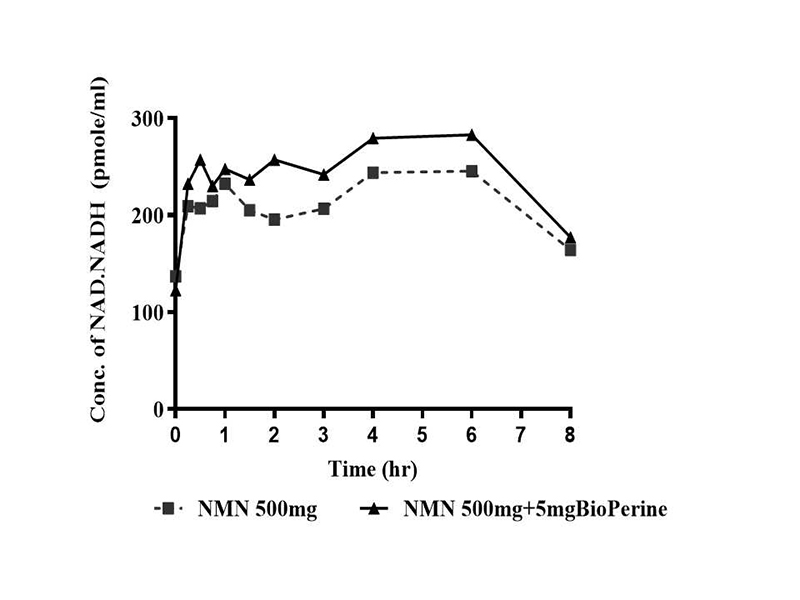 Biểu đồ thể hiện nồng độ trung bình của NAD/NADH ở các nhóm NMN 500mg và NMN 500mg + BioPerine® 5 mg tại các thời điểm khác nhau