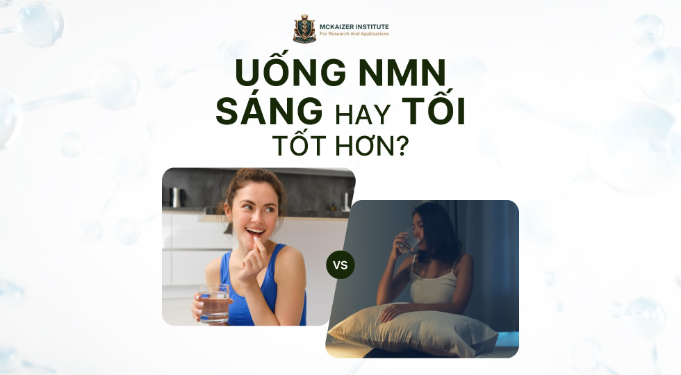 Uống NMN sáng hay tối tốt hơn? Dựa trên nhịp sinh học