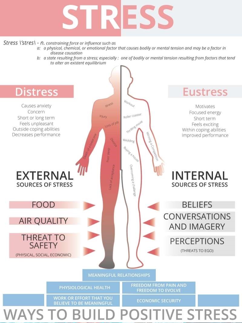 Cơ thể khỏe mạnh không chỉ nằm ở thể chất mà còn ở cách bạn đối mặt với stress