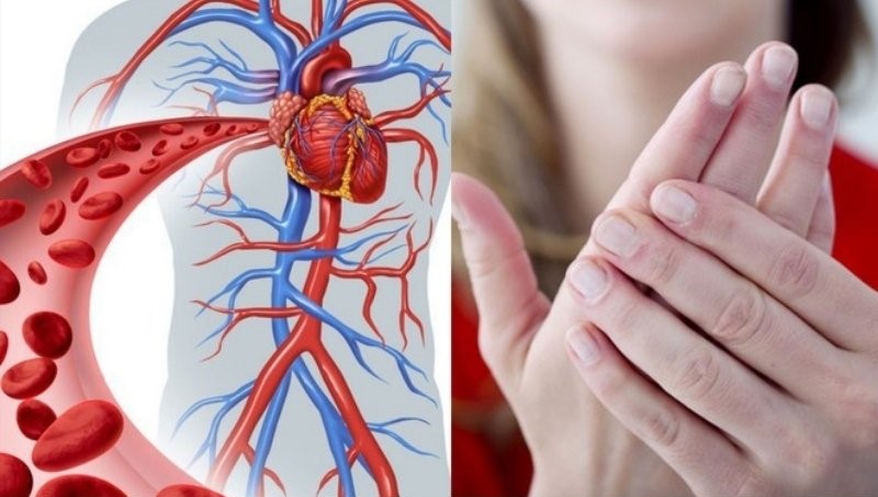 Dấu hiệu lạnh tay chân, da nhợt nhạt, và cảm giác tê râm ran có thể phản ánh tình trạng máu lưu thông kém.