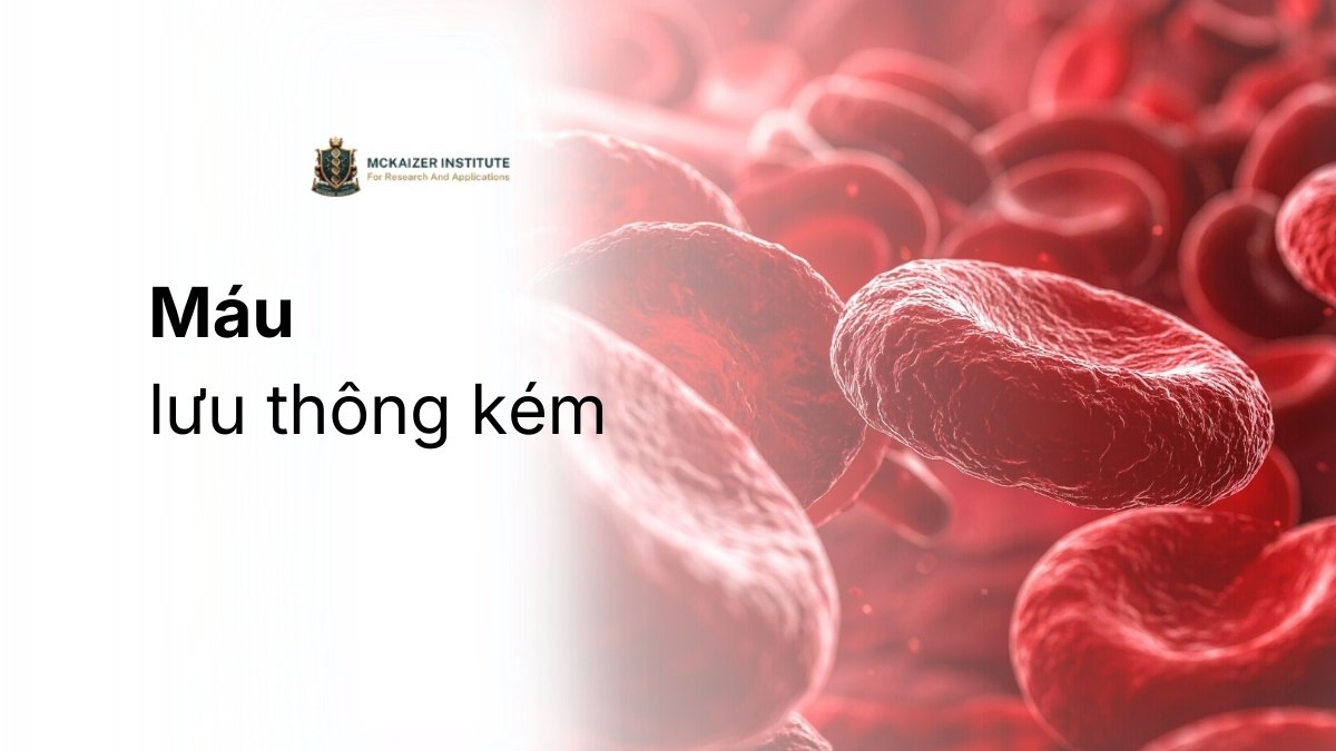 Máu lưu thông kém làm gián đoạn quá trình cung cấp năng lượng cho tế bào
