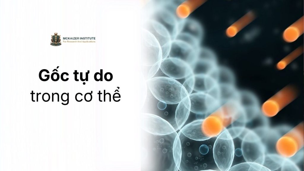 Gốc tự do trong cơ thể và vai trò trong quá trình lão hóa sớm