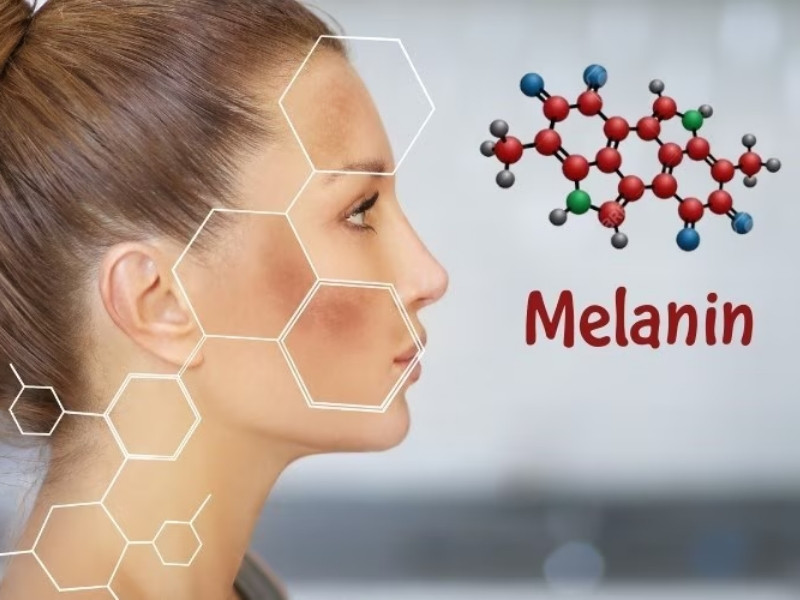 Sắc tố da Melanin (Nguồn: Internet)
