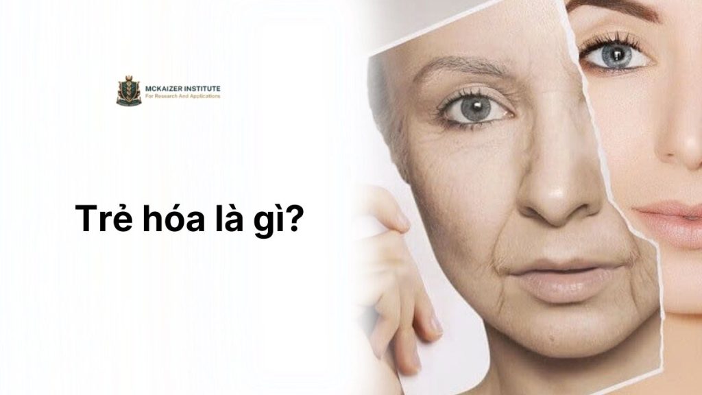 Trẻ hóa là gì và những yếu tố quyết định tốc độ lão hóa của cơ thể