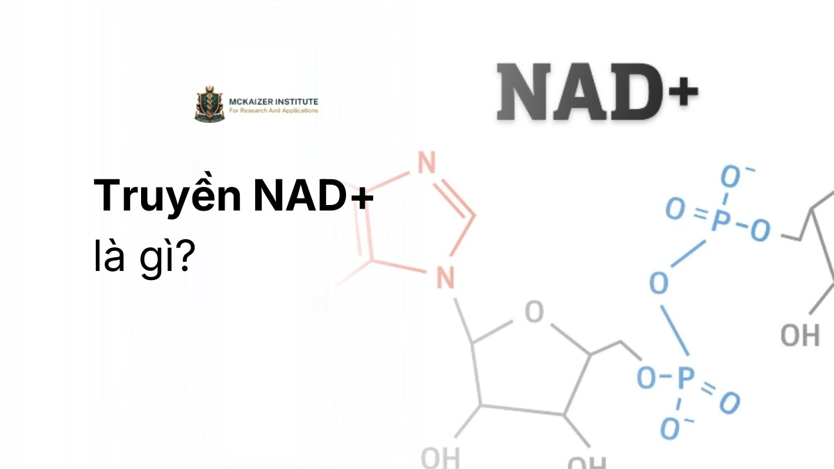 Truyền nad⁺ là gì và vai trò hỗ trợ quá trình trẻ hóa sinh học