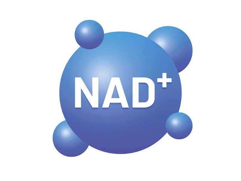 Truyền NAD⁺ là gì? Đây là một coenzyme thiết yếu tồn tại trong mọi tế bào sống