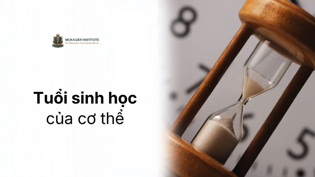 Tuổi sinh học của cơ thể phản ánh điều gì về tốc độ lão hóa và sức khỏe