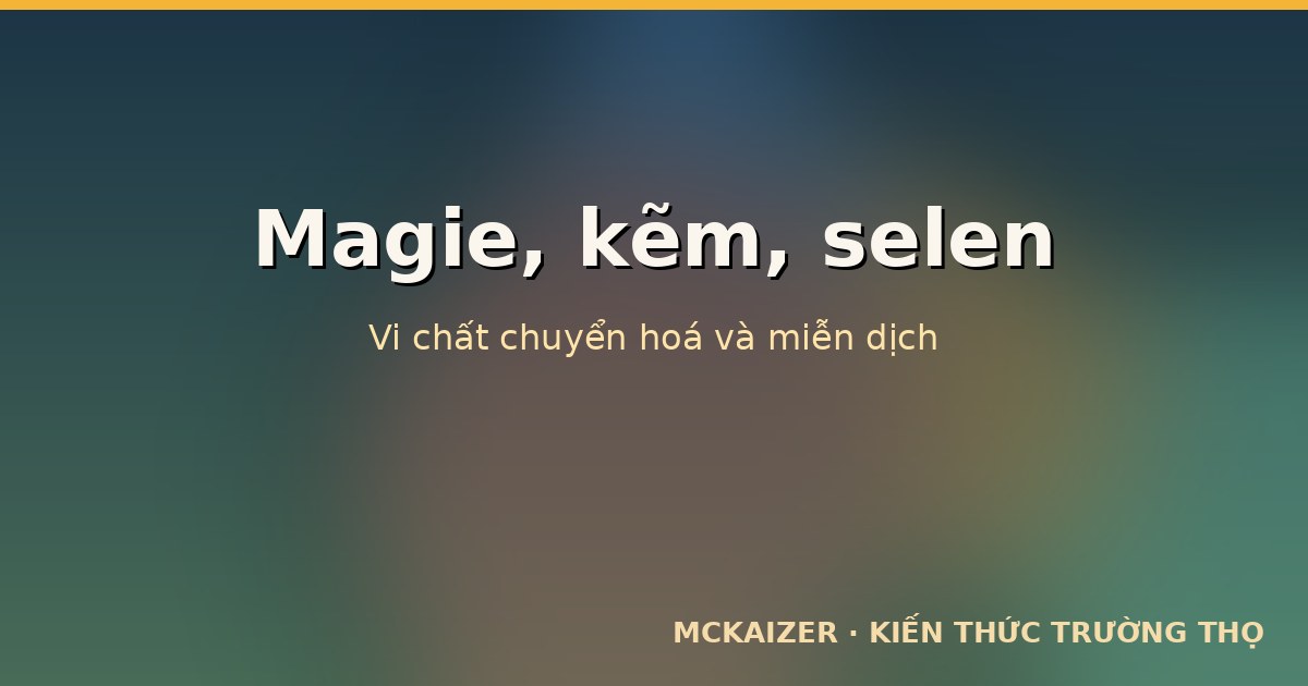 Thumbnail for article: Magie, kẽm, selen: Vi chất chuyển hoá và miễn dịch trong tuổi thọ