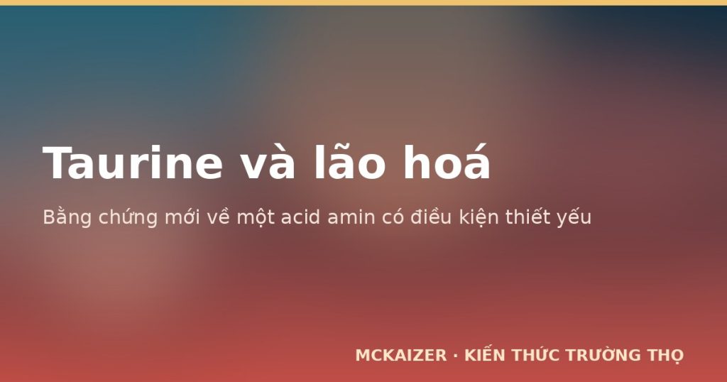 Taurine và lão hoá — minh hoạ chủ đề bài viết