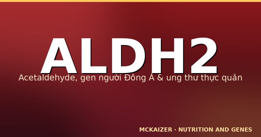 Gen ALDH2, rượu bia, acetaldehyde và ung thư thực quản
