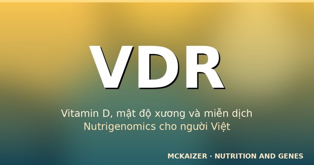 Gen VDR và vitamin D — cẩm nang dinh dưỡng nutrigenomics cho người Việt