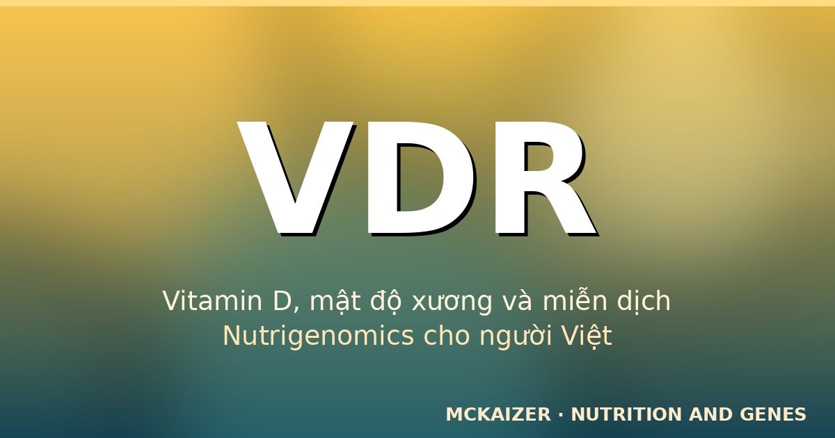 Gen VDR và vitamin D — cẩm nang dinh dưỡng nutrigenomics cho người Việt