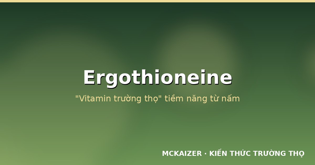 Ergothioneine: vitamin trường thọ tiềm năng từ nấm