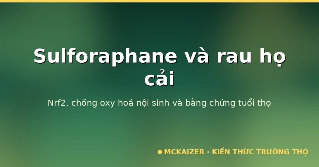 Sulforaphane và rau họ cải — Nrf2, chống oxy hoá nội sinh và bằng chứng tuổi thọ