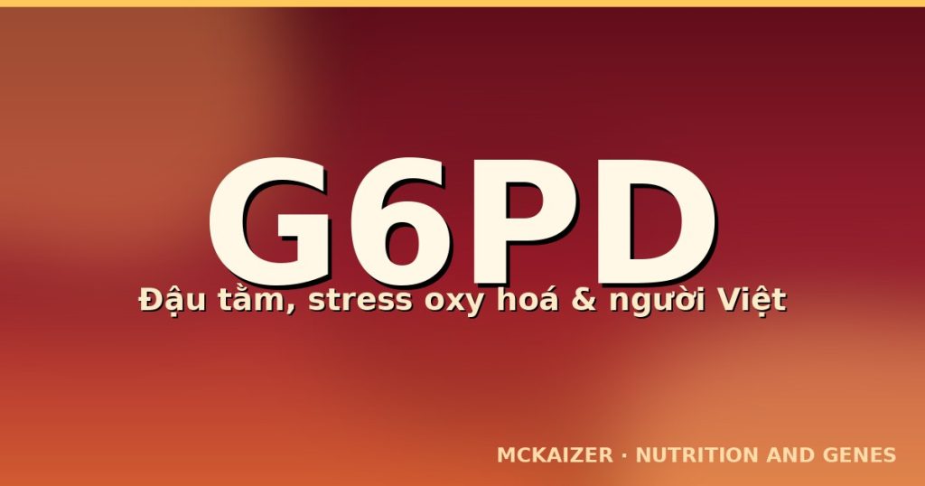 Gen G6PD và stress oxy hoá ở người Việt
