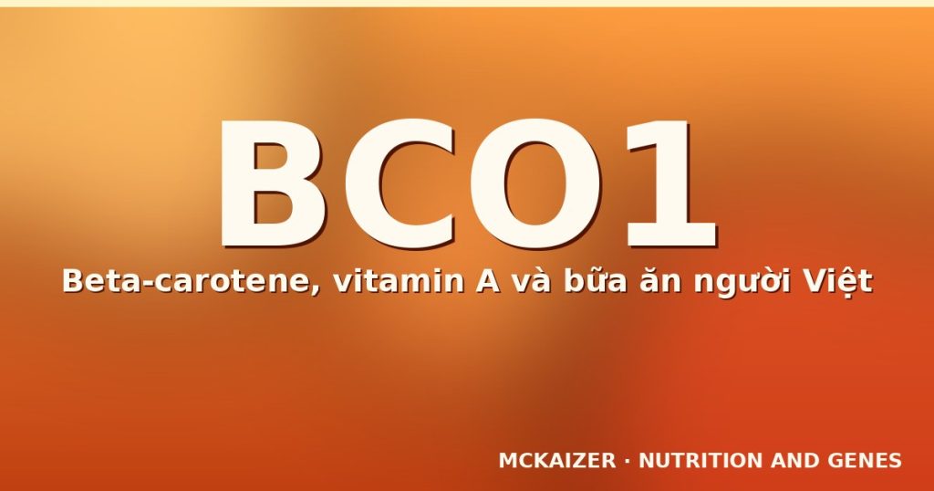 Minh hoạ gen BCO1, beta-carotene và vitamin A cho bài viết tại mckaizer.org