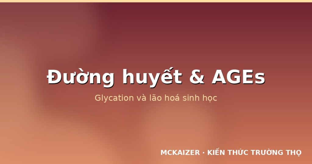 Đường huyết sau ăn, glycation và AGEs: Mắt xích dinh dưỡng của lão hoá