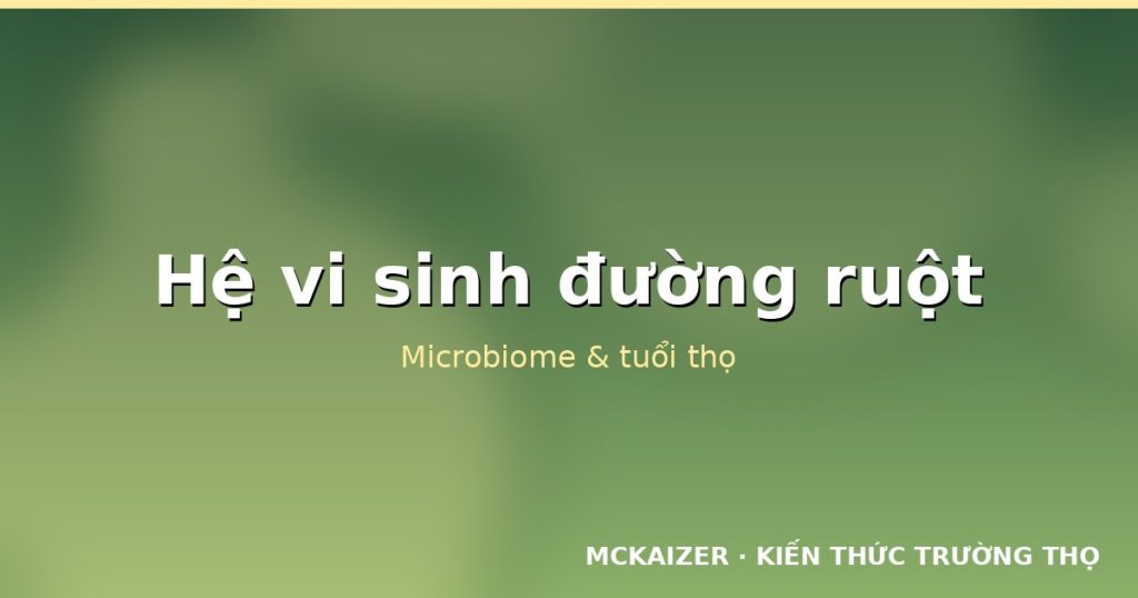 Hệ vi sinh đường ruột và tuổi thọ: Microbiome như một cơ quan sống