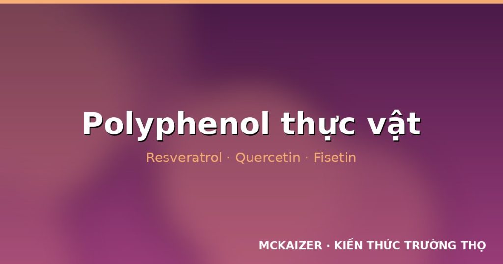 Polyphenol thực vật trong nghiên cứu lão hoá