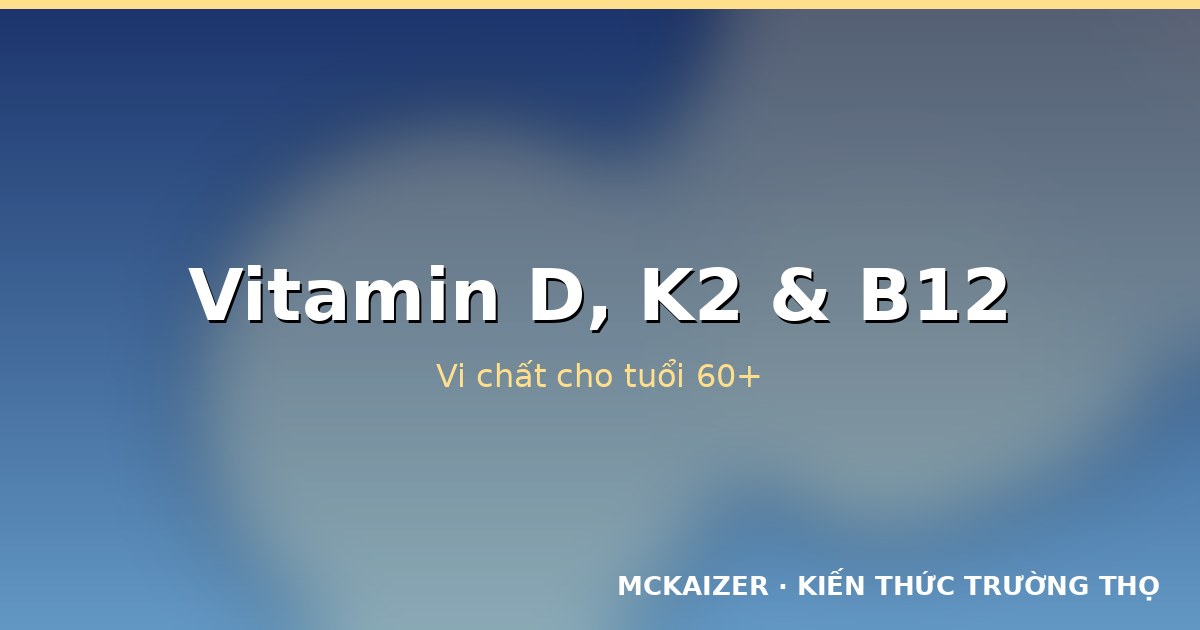 Vitamin D, K2 và B12: Vi chất quan trọng cho tuổi 60+