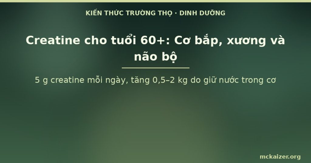 5 g creatine mỗi ngày, tăng 0,5–2 kg do giữ nước trong cơ