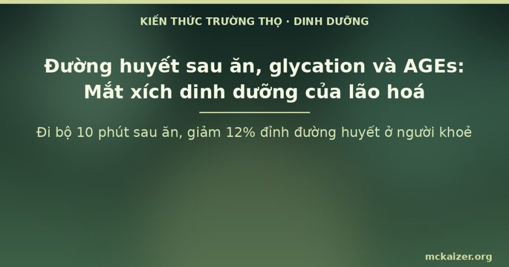 Đi bộ 10 phút sau ăn, giảm 12% đỉnh đường huyết ở người khoẻ
