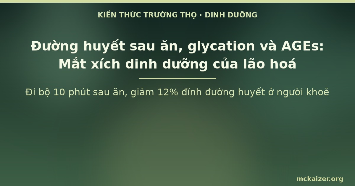 Đi bộ 10 phút sau ăn, giảm 12% đỉnh đường huyết ở người khoẻ