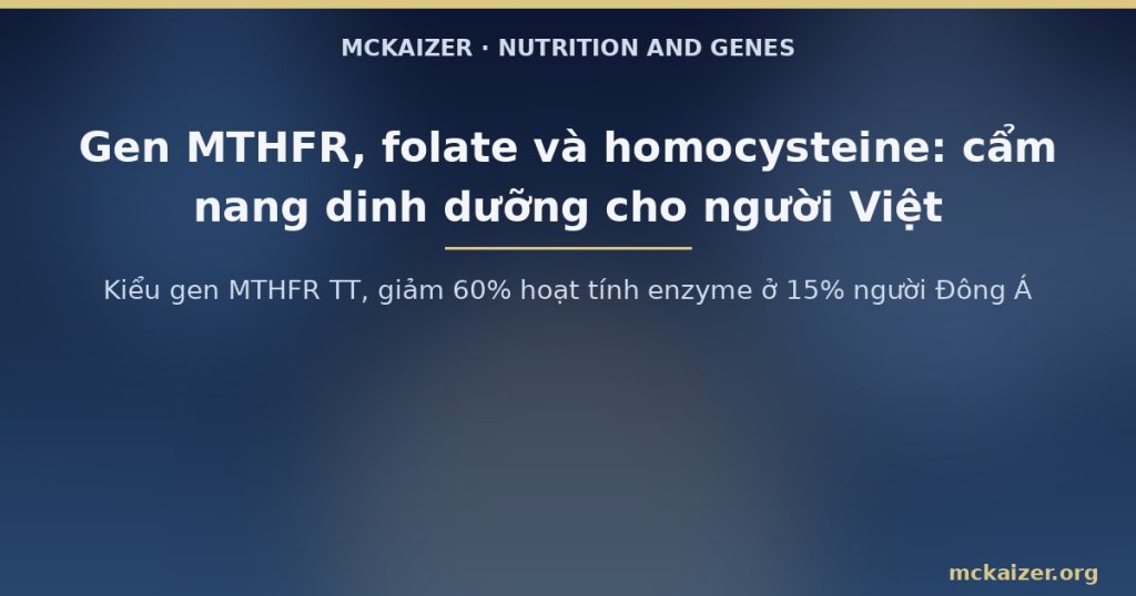 Kiểu gen MTHFR TT, giảm 60% hoạt tính enzyme ở 15% người Đông Á
