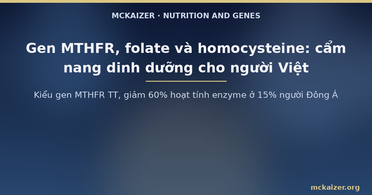 Kiểu gen MTHFR TT, giảm 60% hoạt tính enzyme ở 15% người Đông Á