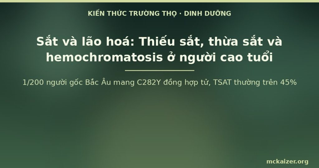 1/200 người gốc Bắc Âu mang C282Y đồng hợp tử, TSAT thường trên 45%