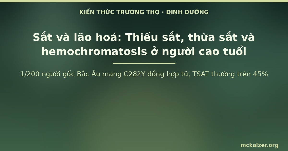 1/200 người gốc Bắc Âu mang C282Y đồng hợp tử, TSAT thường trên 45%