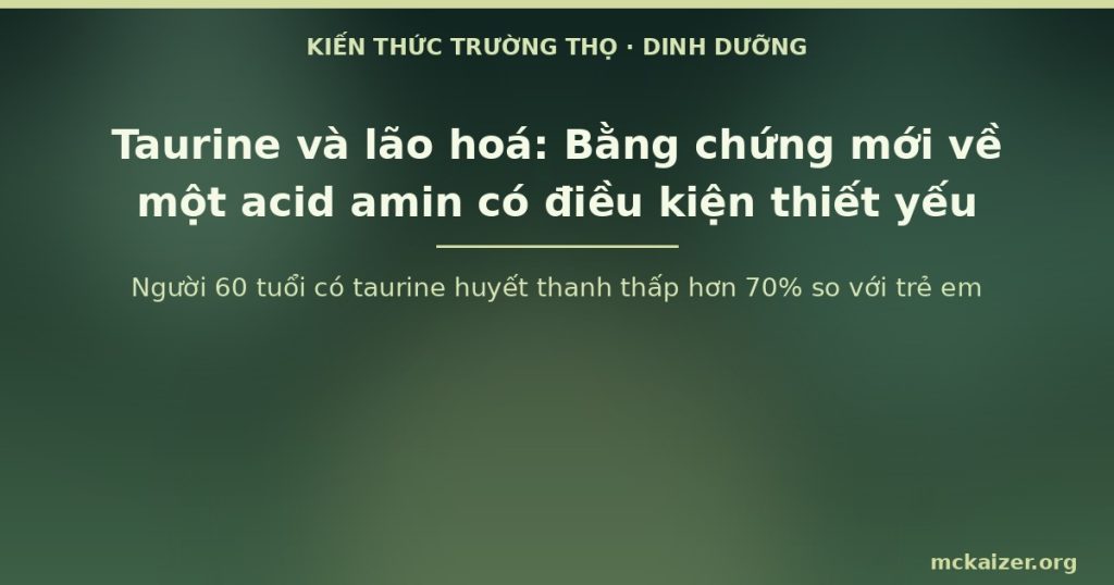 Người 60 tuổi có taurine huyết thanh thấp hơn 70% so với trẻ em
