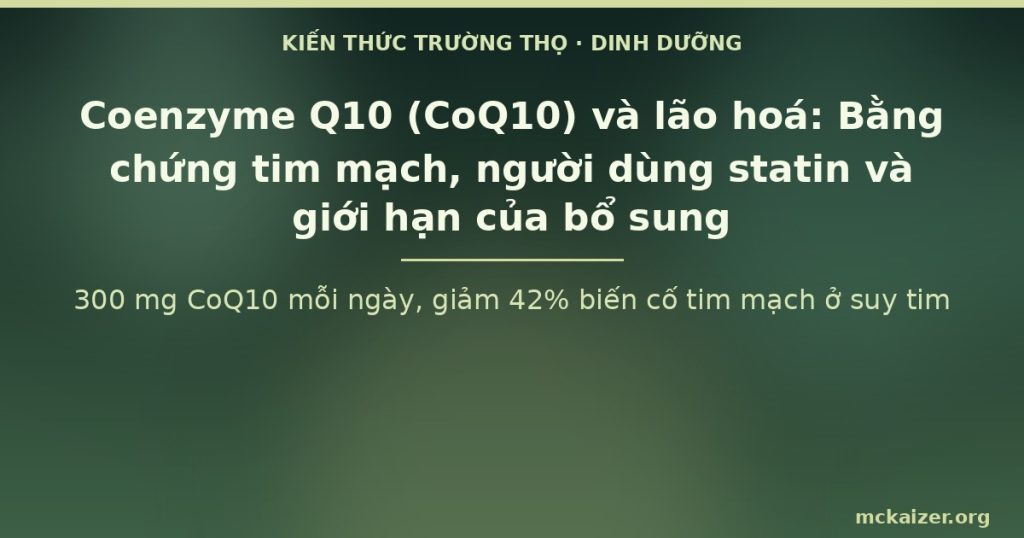 300 mg CoQ10 mỗi ngày, giảm 42% biến cố tim mạch ở suy tim