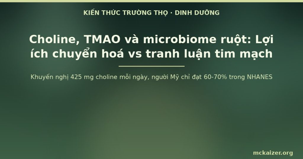 Khuyến nghị 425 mg choline mỗi ngày, người Mỹ chỉ đạt 60-70% trong NHANES