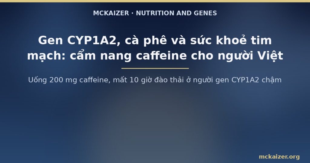 Uống 200 mg caffeine, mất 10 giờ đào thải ở người gen CYP1A2 chậm