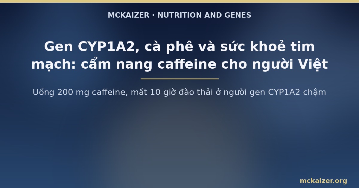Uống 200 mg caffeine, mất 10 giờ đào thải ở người gen CYP1A2 chậm