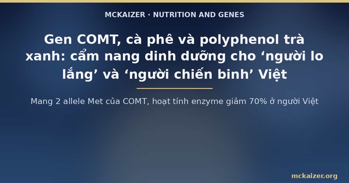 Mang 2 allele Met của COMT, hoạt tính enzyme giảm 70% ở người Việt