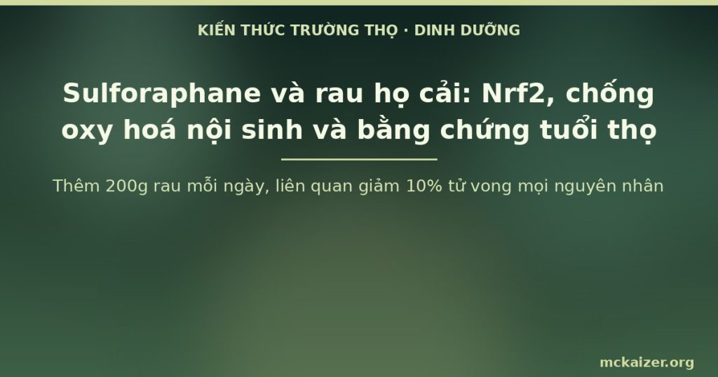 Thêm 200g rau mỗi ngày, liên quan giảm 10% tử vong mọi nguyên nhân