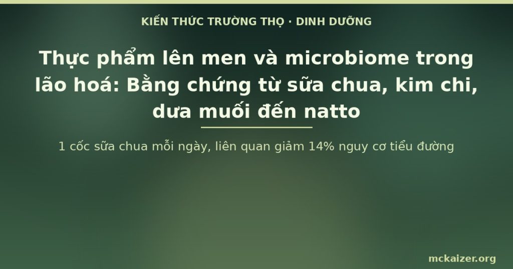 1 cốc sữa chua mỗi ngày, liên quan giảm 14% nguy cơ tiểu đường