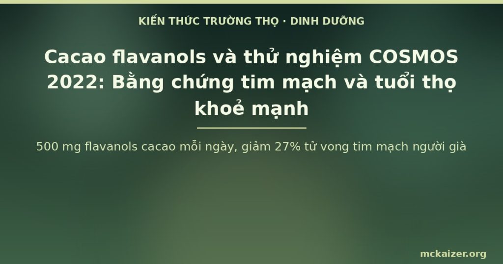 500 mg flavanols cacao mỗi ngày, giảm 27% tử vong tim mạch người già