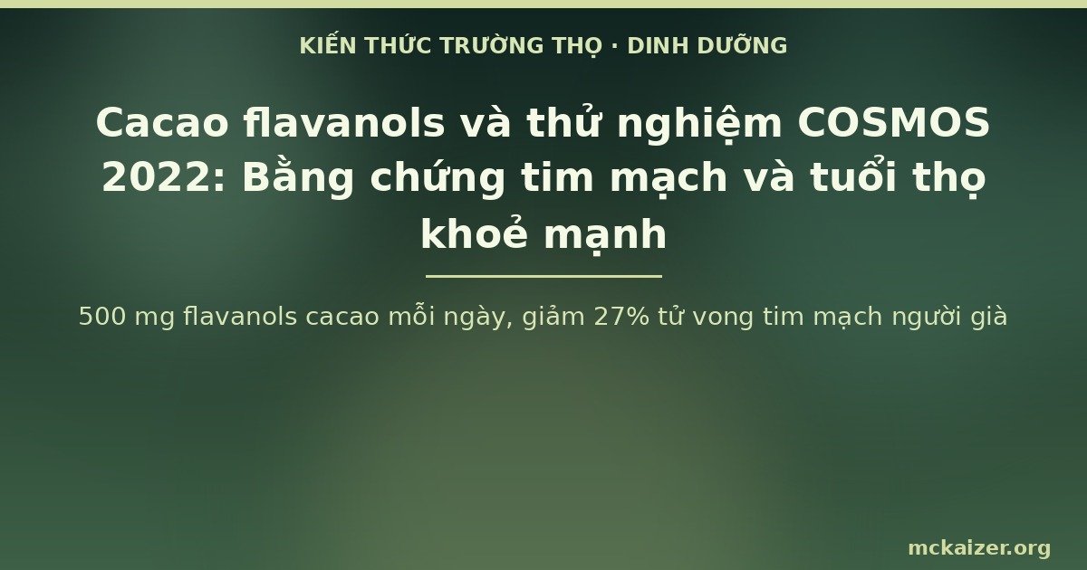 500 mg flavanols cacao mỗi ngày, giảm 27% tử vong tim mạch người già