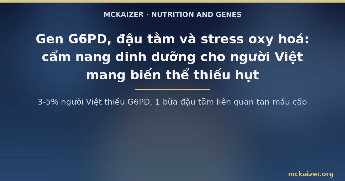 3-5% người Việt thiếu G6PD, 1 bữa đậu tằm liên quan tan máu cấp