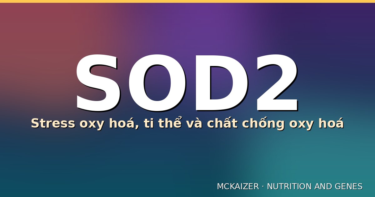 Đồ hoạ SOD2: ti thể, gốc tự do superoxide và chất chống oxy hoá tự nhiên