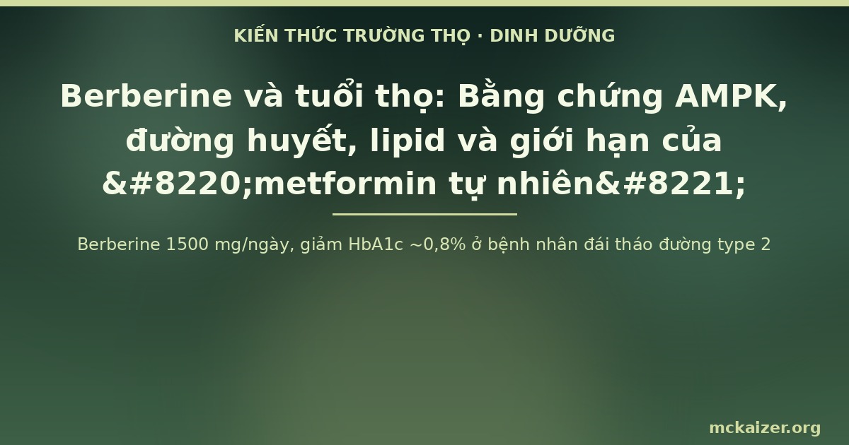 Berberine 1500 mg/ngày, giảm HbA1c ~0,8% ở bệnh nhân đái tháo đường type 2