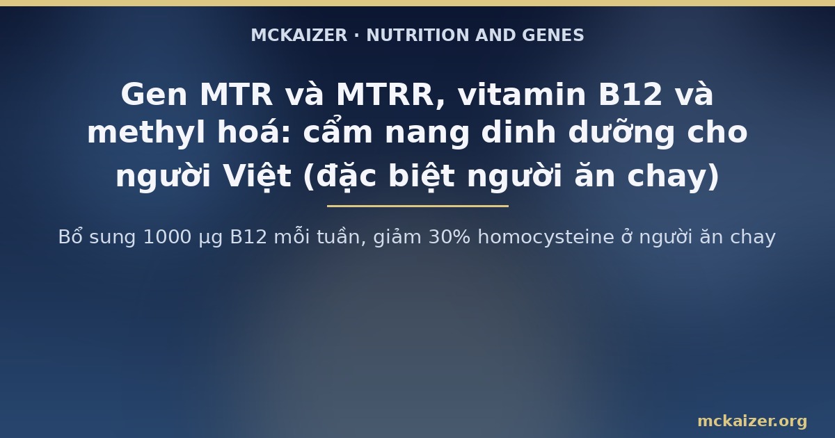 Bổ sung 1000 µg B12 mỗi tuần, giảm 30% homocysteine ở người ăn chay