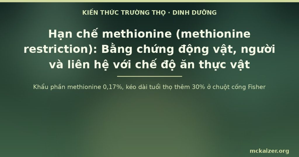 Khẩu phần methionine 0,17%, kéo dài tuổi thọ thêm 30% ở chuột cống Fisher