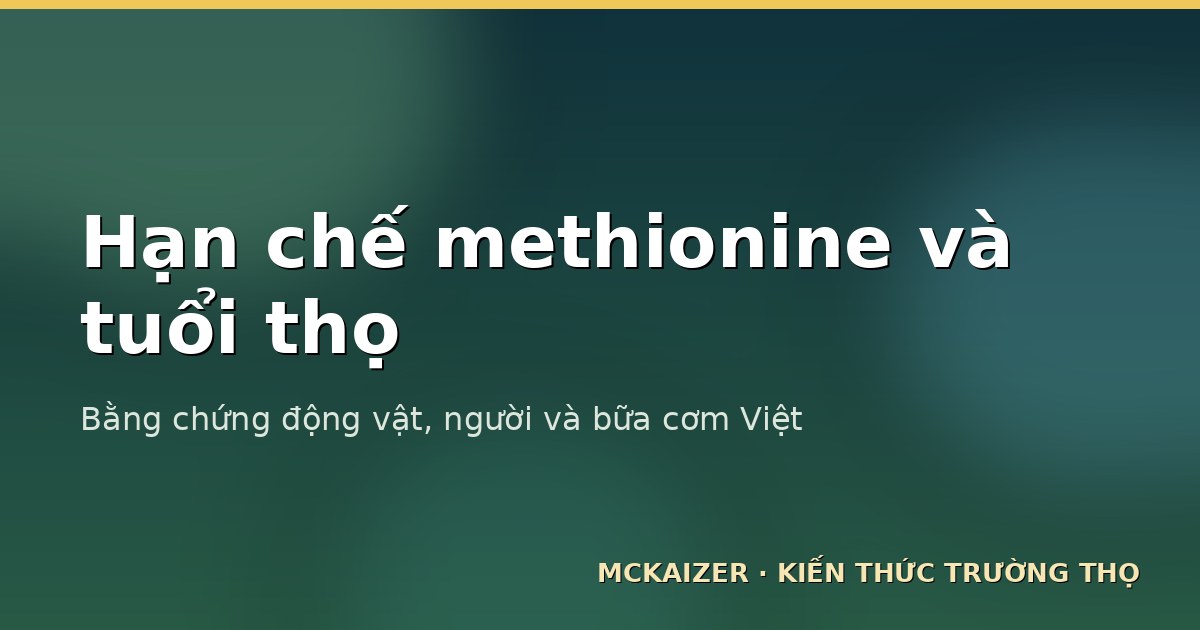 Hạn chế methionine và tuổi thọ — bằng chứng động vật, con người và bữa cơm Việt