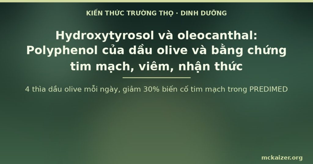 4 thìa dầu olive mỗi ngày, giảm 30% biến cố tim mạch trong PREDIMED