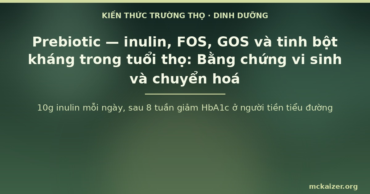 10g inulin mỗi ngày, sau 8 tuần giảm HbA1c ở người tiền tiểu đường